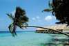 Coco Palm Bodu Hithi 